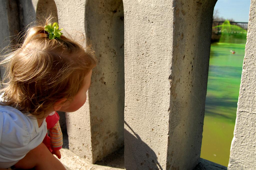 River Greening 2012
